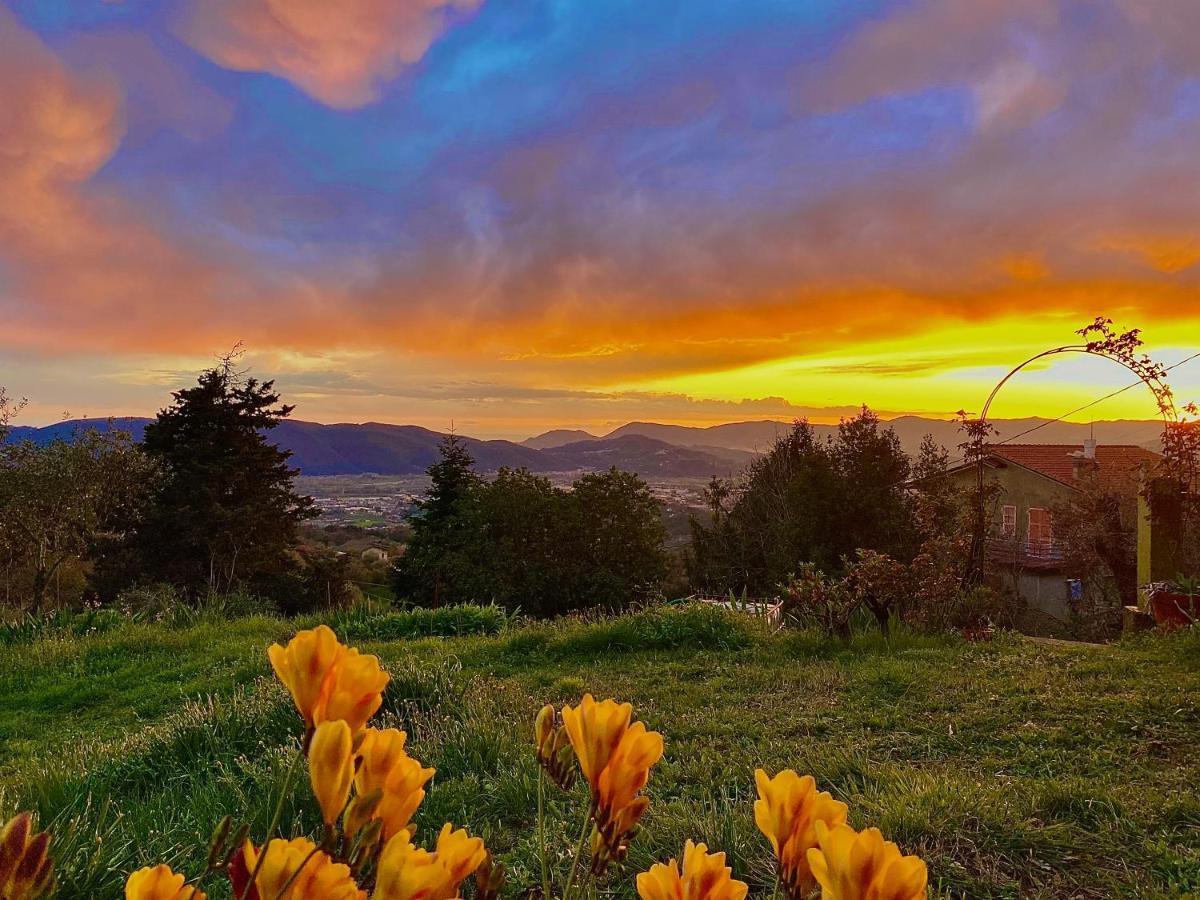 La Ginestra B&B Fosdinovo Bagian luar foto
