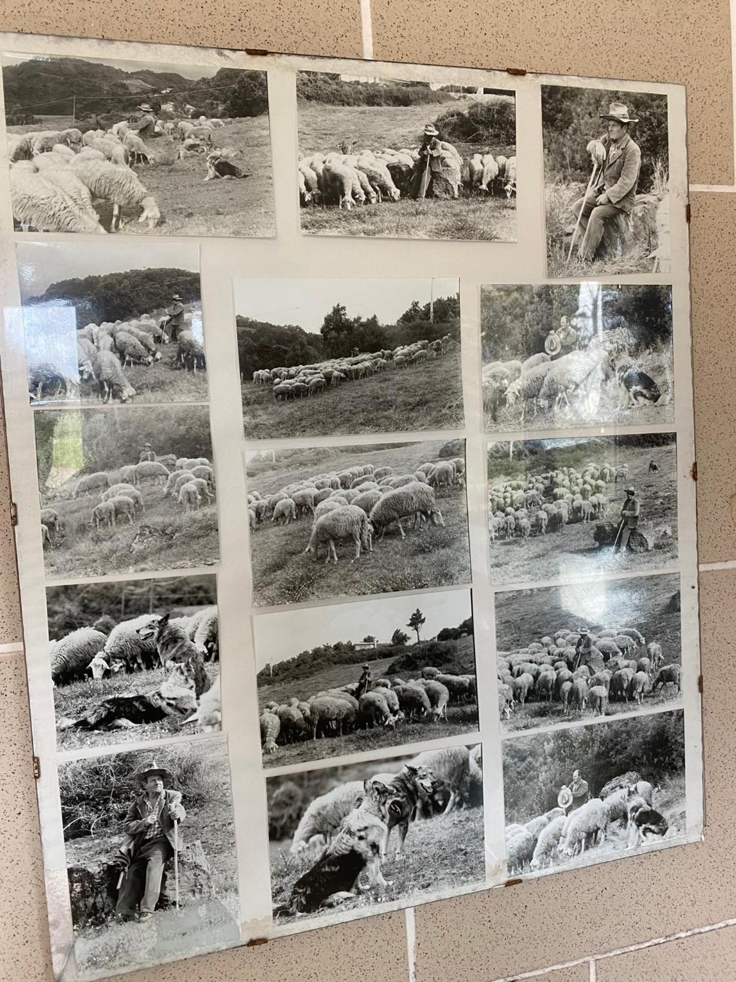 La Ginestra B&B Fosdinovo Bagian luar foto