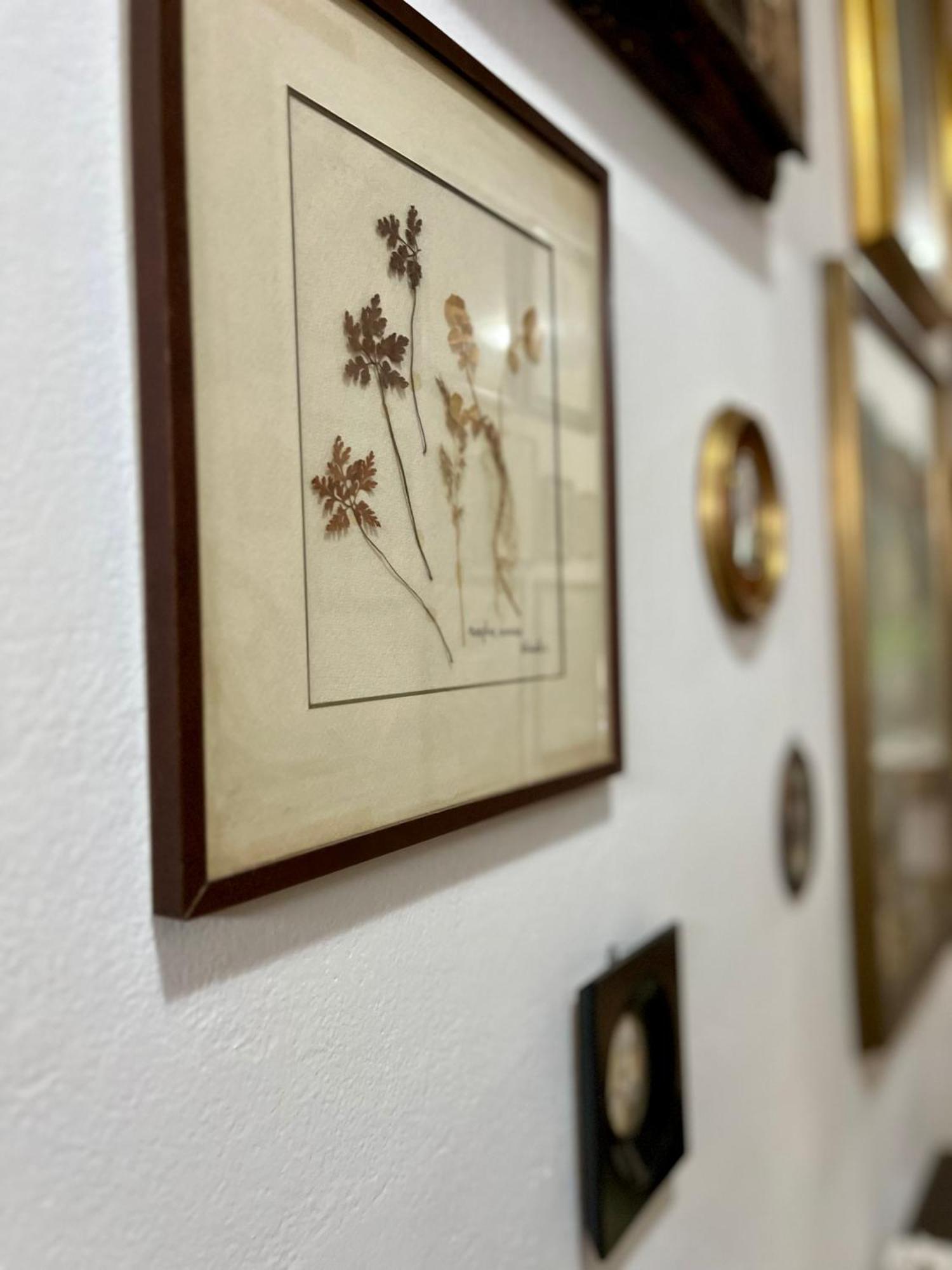 La Ginestra B&B Fosdinovo Bagian luar foto